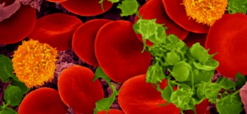 How does pathogen inactivation treatment compromise platelet quality? – p38MAPK