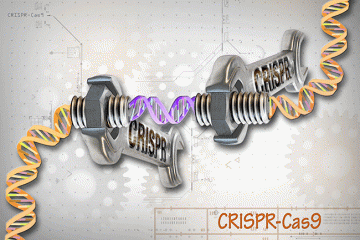 CRISPR Technology: Officially Off-Limits?