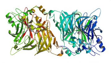 The First Targeted Gene Therapy Approved in North America: Luxturna