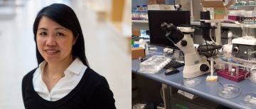 Meet the Researcher: Dr. Karen Cheung