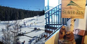 Keystone Symposia: Single Cell Biology, Breckenridge, Colorado