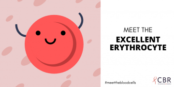 Excellent Erythrocyte - Twitter