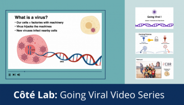 An Alternative Take on Summer Student Research Projects: The “Going Viral” Video Series