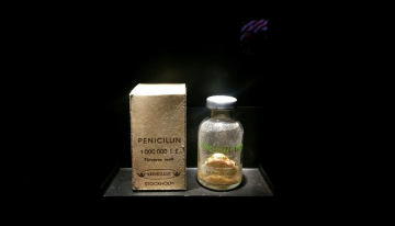 A glass bottle of penicillin, which looks like a gold substance, next to a box for the medication. Both appear to be in a display case under bright lighting.