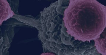 Image of immune cells on the CBR May 2021 Magazine cover