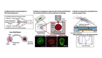 Tiny Tumours and Oscillating Oxygen