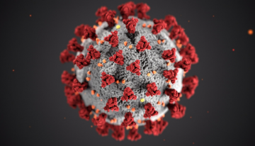 UBC-led researchers uncover how the novel coronavirus escapes a cell’s antiviral defenses