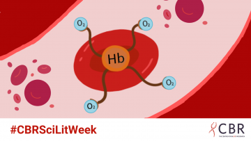 #CBRSciLitWeek: How does air travel from your lungs to the rest of your body?