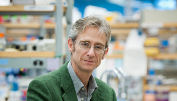 Dr. Fabio Rossi elected to the Royal Society of Canada