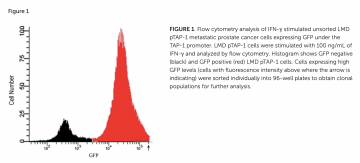 Jefferies Lab publication “A novel cell-based screen identifies chemical entities that reverse the immune-escape phenotype of metastatic tumours”