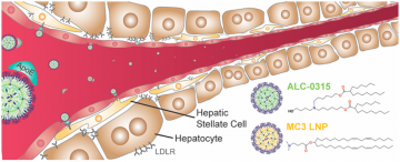 Lipid Nanoparticle Freight Comparison 