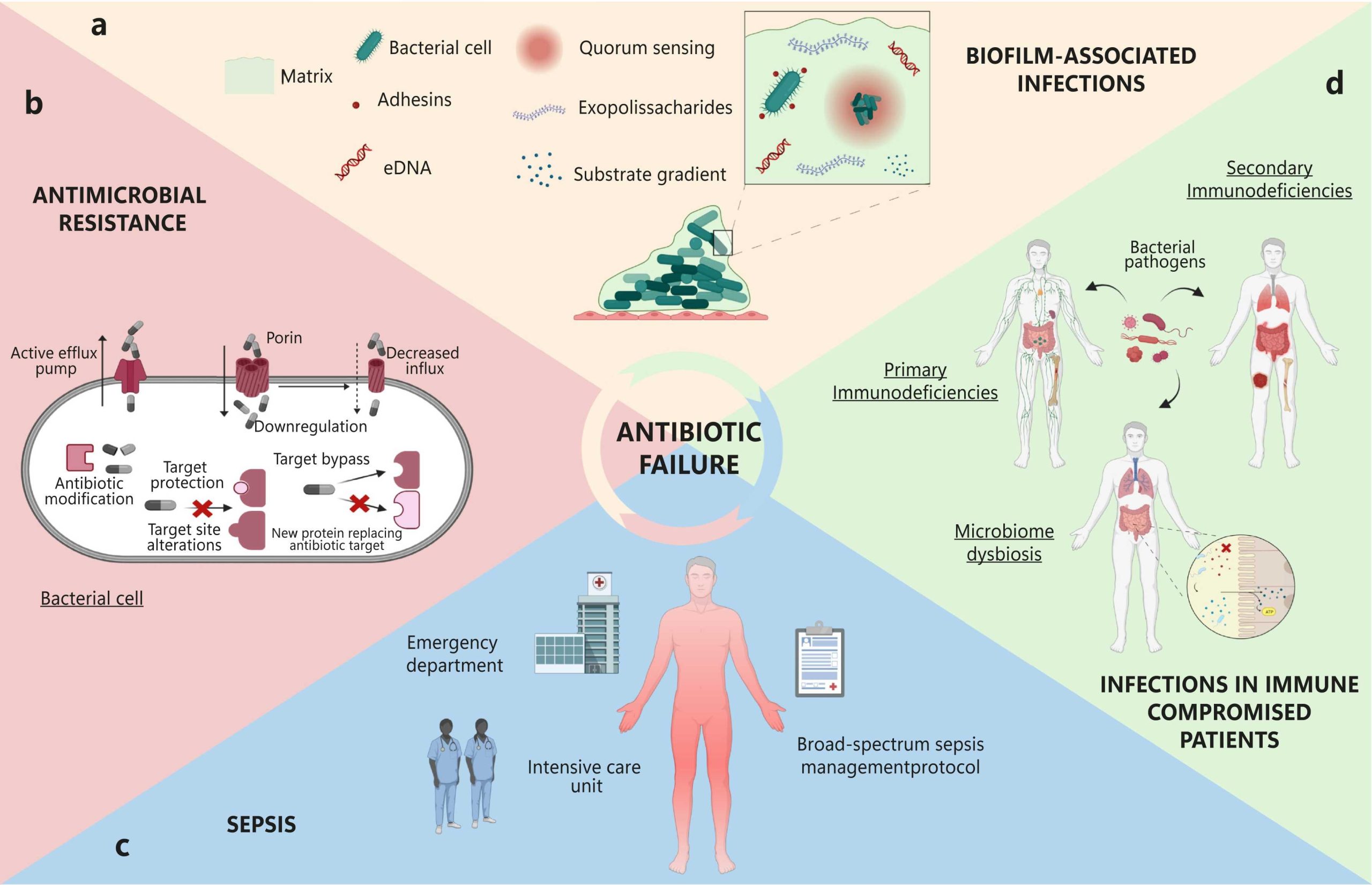 Antibiotic Failure – Beyond Antimicrobial Resistance - Centre for Blood ...