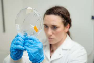Meet the Researcher: Dr. Tanya Bennet, Postdoctoral Research Fellow, Cheung Lab