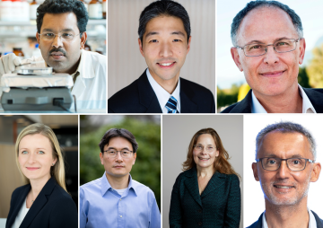 CBR Scientists Awarded Federal Funding in CIHR, NSERC and NFRF Competitions